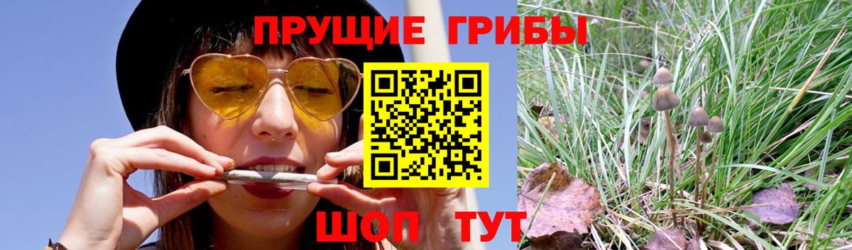 Астрахань  Псилоцибиновые грибы ЛСД  как найти   Вход с VPN  Псилоцибиновые грибы Psilocybe 